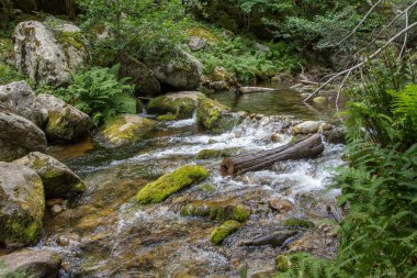 Doğu Pyrenes 'in keşfi yaz aylarında, hala vahşi bölgede