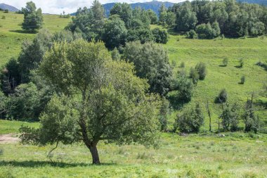 Doğu Pyrenes 'in keşfi yaz aylarında, hala vahşi bölgede