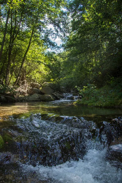 夏の東ピレネーの発見まだ野生の地域 — ストック写真