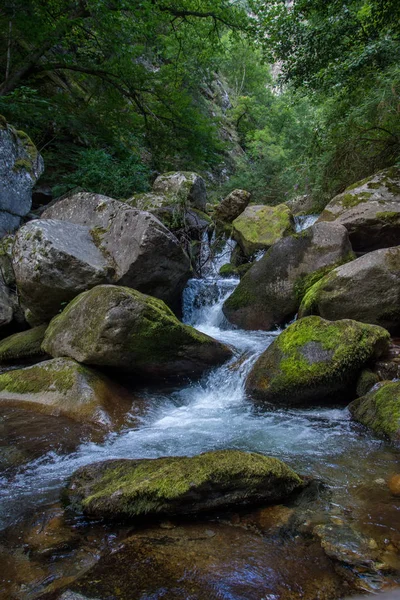 Découverte des Pyrénées orientales en été, région encore sauvage de — Photo