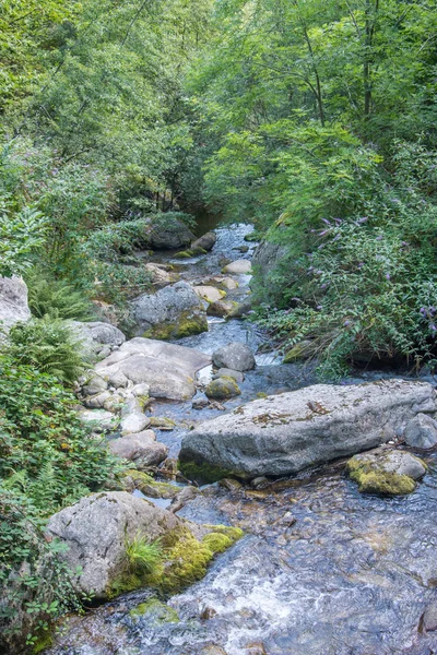 Scoperta delle Pirene orientali in estate, regione ancora selvaggia di — Foto Stock