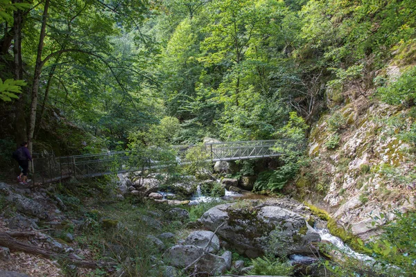 Découverte des Pyrénées orientales en été, région encore sauvage de — Photo