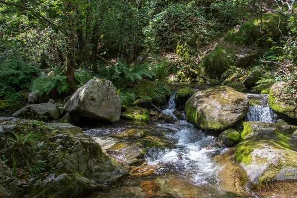 Descubrimiento de los Pirineos orientales en verano, todavía salvaje región de — Foto de Stock