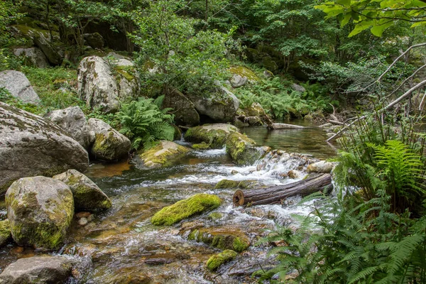 Scoperta delle Pirene orientali in estate, regione ancora selvaggia di — Foto Stock