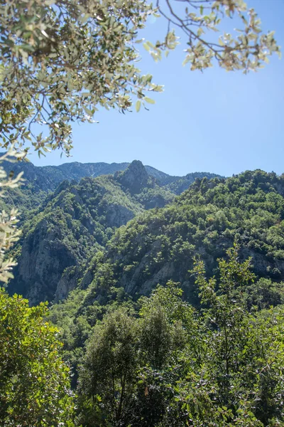 Ontdekking van de oostelijke Pyreneeën in de zomer, nog steeds wilde regio van — Stockfoto