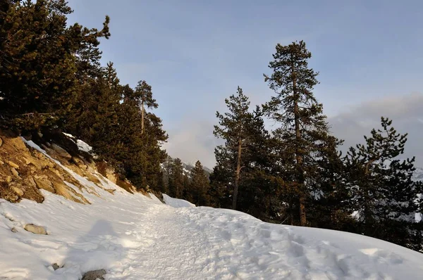 Promenad på stationen Montgenevre tas av kylan, snön en — Stockfoto