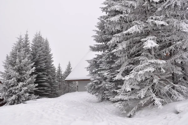 Andar na estação de Montgenevre tomado pelo frio, a neve a — Fotografia de Stock