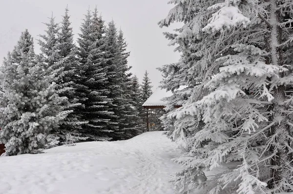Spacer po stacji Montgenevre podjęte przez zimno, śnieg a — Zdjęcie stockowe