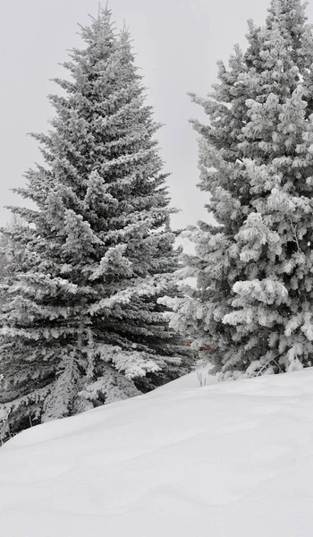 Wandelen in het station van Montgenevre genomen door de kou, de sneeuw a — Stockfoto