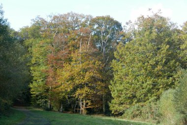 Fransa 'nın Finistere şehrinde Brittany kırsalında yürümek