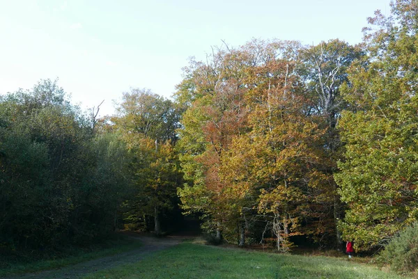 Spaziergang in der Landschaft der Bretagne in finistere, Frankreich — Stockfoto