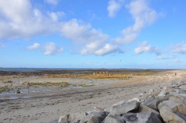 Brittany sahillerinin keşfi, Talbert Furrow