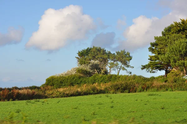 Découverte des côtes bretonnes, sillon Talbert — Photo