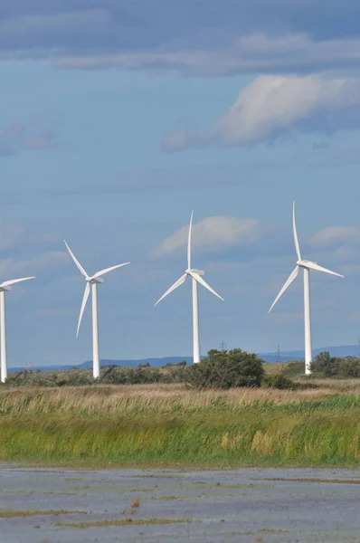 Landscape filled with wind turbine in the Camargue, France — Stock Photo, Image