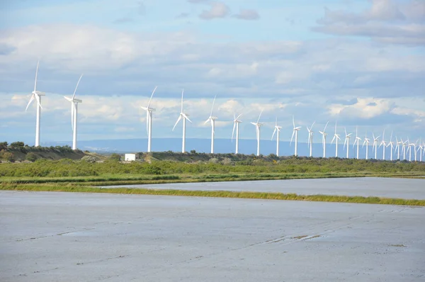 landscape filled with wind turbine in the Camargue, France