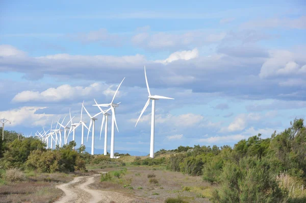 landscape filled with wind turbine in the Camargue, France