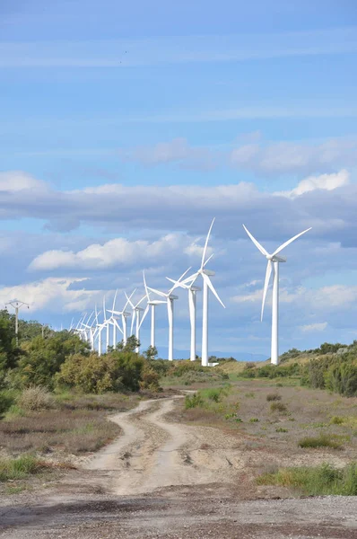 Camargue, Fransa 'da rüzgar türbiniyle dolu bir arazi.