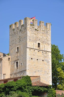 Fransa 'nın güneyindeki Provence' a git. Lavanta kültürü ve 