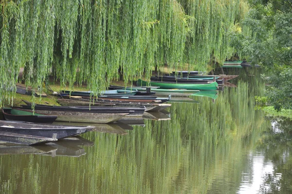 Promenade Dans Marais Poitevin Vendee France Lieux Calme Tranquillité Propices — Photo