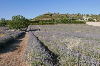 Luberon 'da yürü, Aziz Michele de l' Observatoire ve Vaucluse 'de Banon.