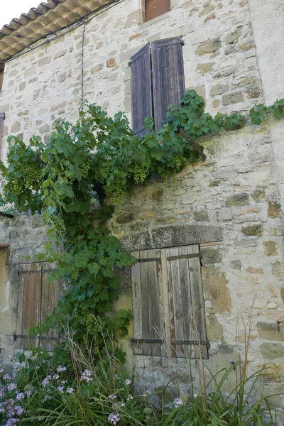 Spaziergang Luberon Saint Michel Observatoire Und Banon Vaucluse — Stockfoto