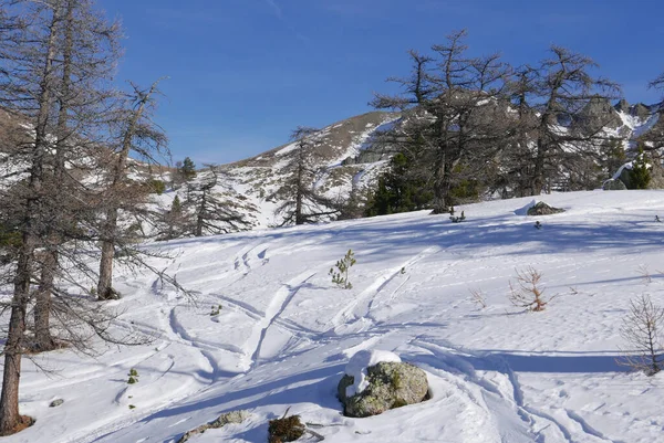 Peisaj Înzăpezit Din Montgenvre Alpii Înalți Timpul Iernii Franța — Fotografie, imagine de stoc