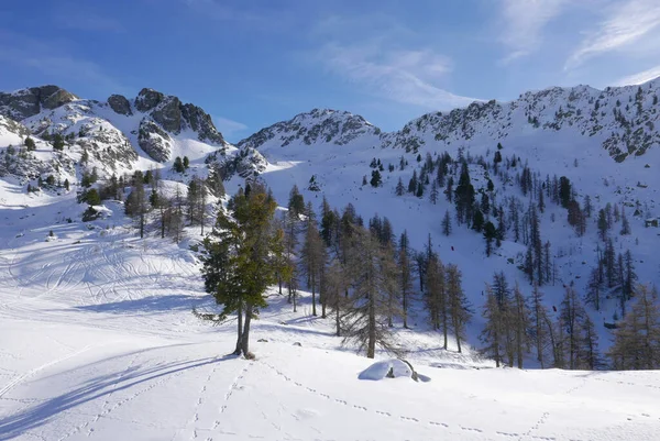 Snöigt Landskap Montgenvre Höga Alperna Vintern Frankrike — Stockfoto