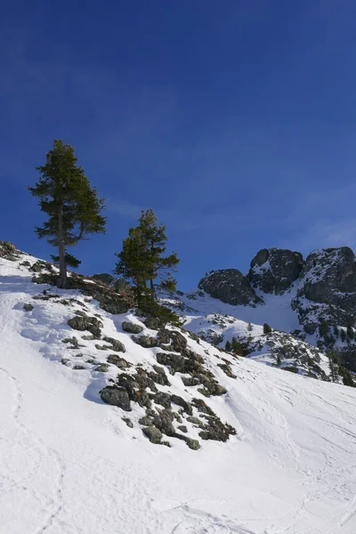 프랑스의 알프스 산맥에서 겨울을 눈덮인 — 스톡 사진
