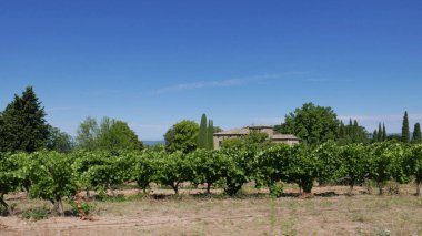 Fransa 'nın bağlar ve köyleri arasında vaucluse, roussillon ve bonnieux köyü