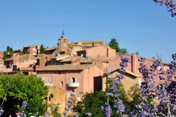 Village Vaucluse Roussillon Bonnieux Vineyard Village France — Stock Photo, Image