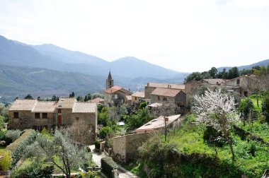 koruma ve önleme araçları, Fransa