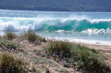 Güney Korsika 'nın güzel manzarası, Ajaccio, Fransa