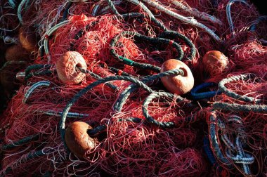 Güney Korsika 'nın güzel manzarası, Ajaccio, Fransa