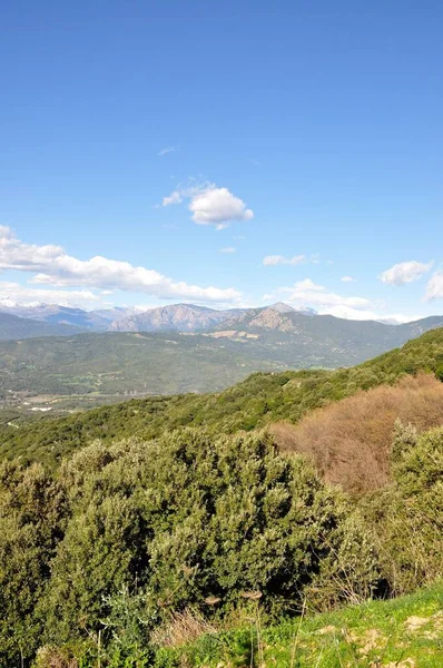 Beautiful Landscape Southern Corsica Ajaccio France — Stock Photo, Image