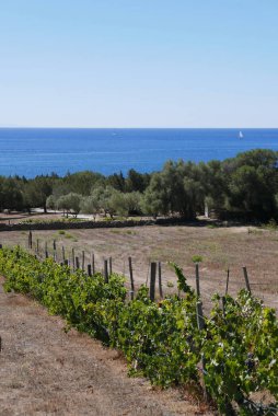 Güney Korsika, deniz kenarında güzel bir adada tatil. Fransa