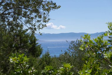 Güney Korsika, deniz kenarında güzel bir adada tatil. Fransa