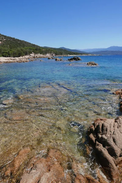 Corse Sud Vacances Bord Eau Sur Île Beauté France — Photo