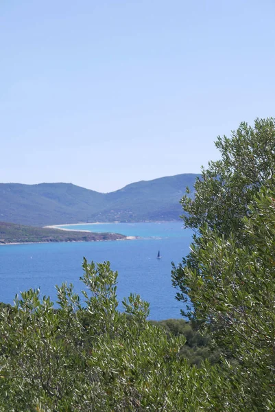 Corse Sud Vacances Bord Eau Sur Île Beauté France — Photo