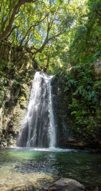 Sao Miguel, Azores, Portekiz 'deki Prego Salto Şelalesi' ni keşfedin..