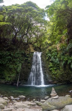 Sao Miguel, Azores, Portekiz 'deki Prego Salto Şelalesi' ni keşfedin..