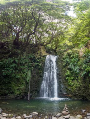 Sao Miguel, Azores, Portekiz 'deki Prego Salto Şelalesi' ni keşfedin..