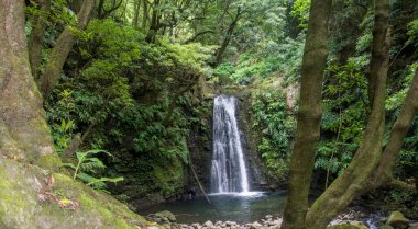 Sao Miguel, Azores, Portekiz 'deki Prego Salto Şelalesi' ni keşfedin..