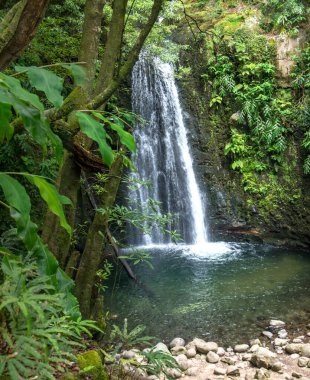Sao Miguel, Azores, Portekiz 'deki Prego Salto Şelalesi' ni keşfedin..