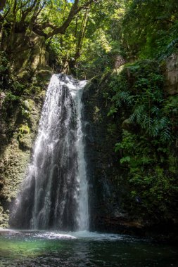 Sao Miguel, Azores, Portekiz 'deki Prego Salto Şelalesi' ni keşfedin..