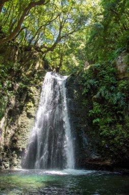 walk and discover the prego salto waterfall on the island of sao miguel, azores, Portugal. clipart