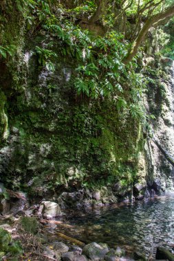 Sao Miguel, Azores, Portekiz 'deki Prego Salto Şelalesi' ni keşfedin..
