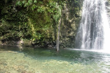 Sao Miguel, Azores, Portekiz 'deki Prego Salto Şelalesi' ni keşfedin..