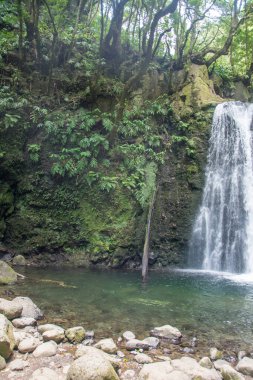 Sao Miguel, Azores, Portekiz 'deki Prego Salto Şelalesi' ni keşfedin..