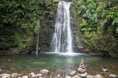 Sao Miguel, Azores, Portekiz 'deki Prego Salto Şelalesi' ni keşfedin..