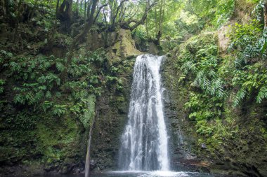 Sao Miguel, Azores, Portekiz 'deki Prego Salto Şelalesi' ni keşfedin..